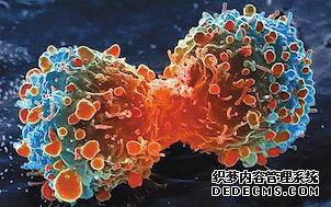 难得一见:中国顶级癌症专家盘点肺癌、乳腺癌、血液肿瘤治疗进展